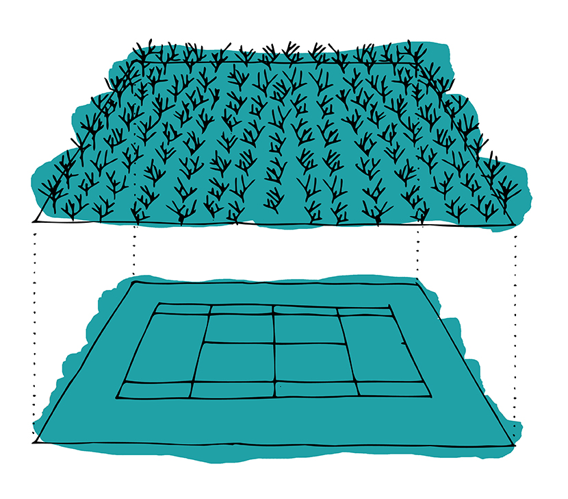 01 tiny forest_GREEN