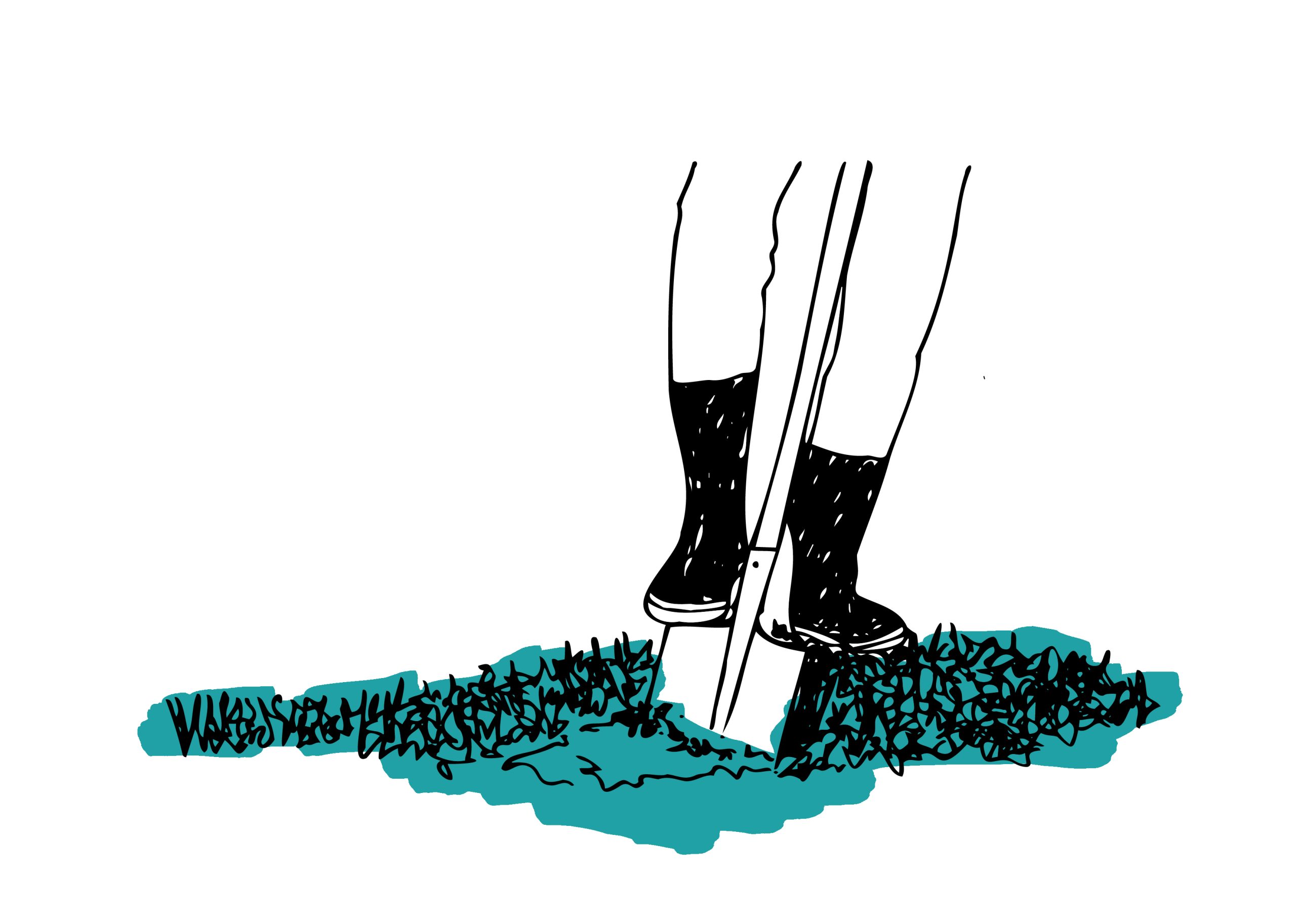 03 dig_green