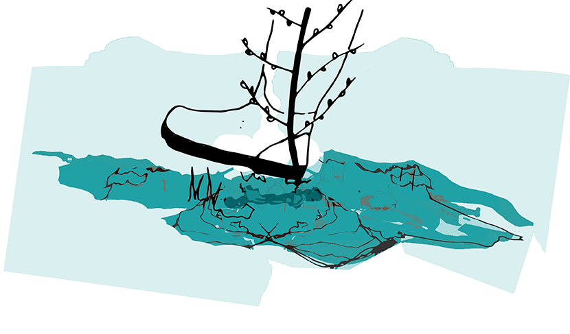 06 heel_green