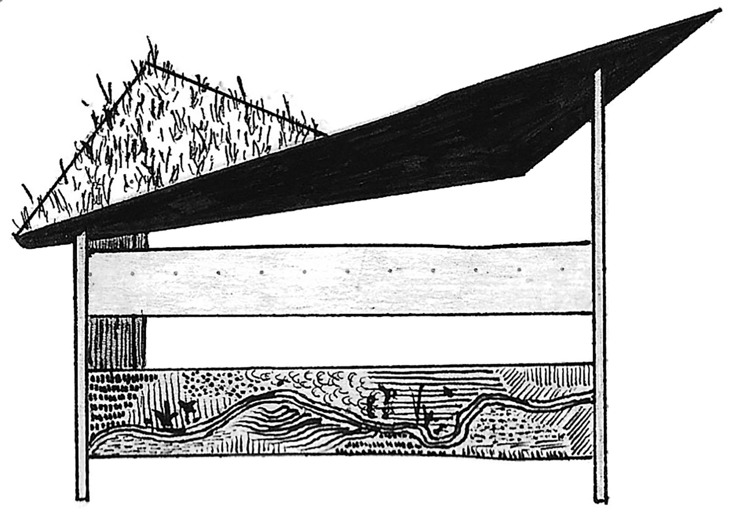 Bird-hide-sketch-2