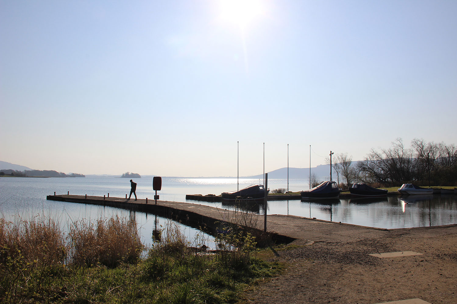 IMG_0004-copy