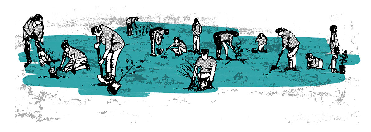 New-planting-graphic-copy
