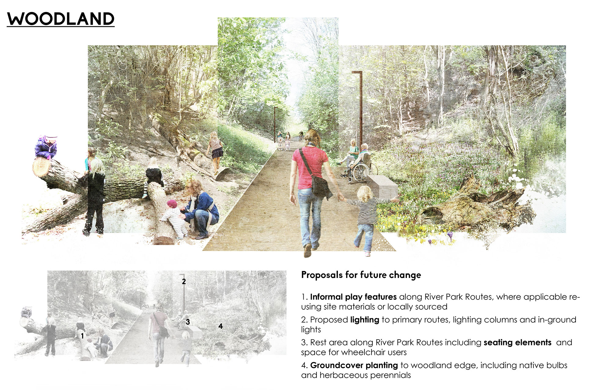 Woodland-visual