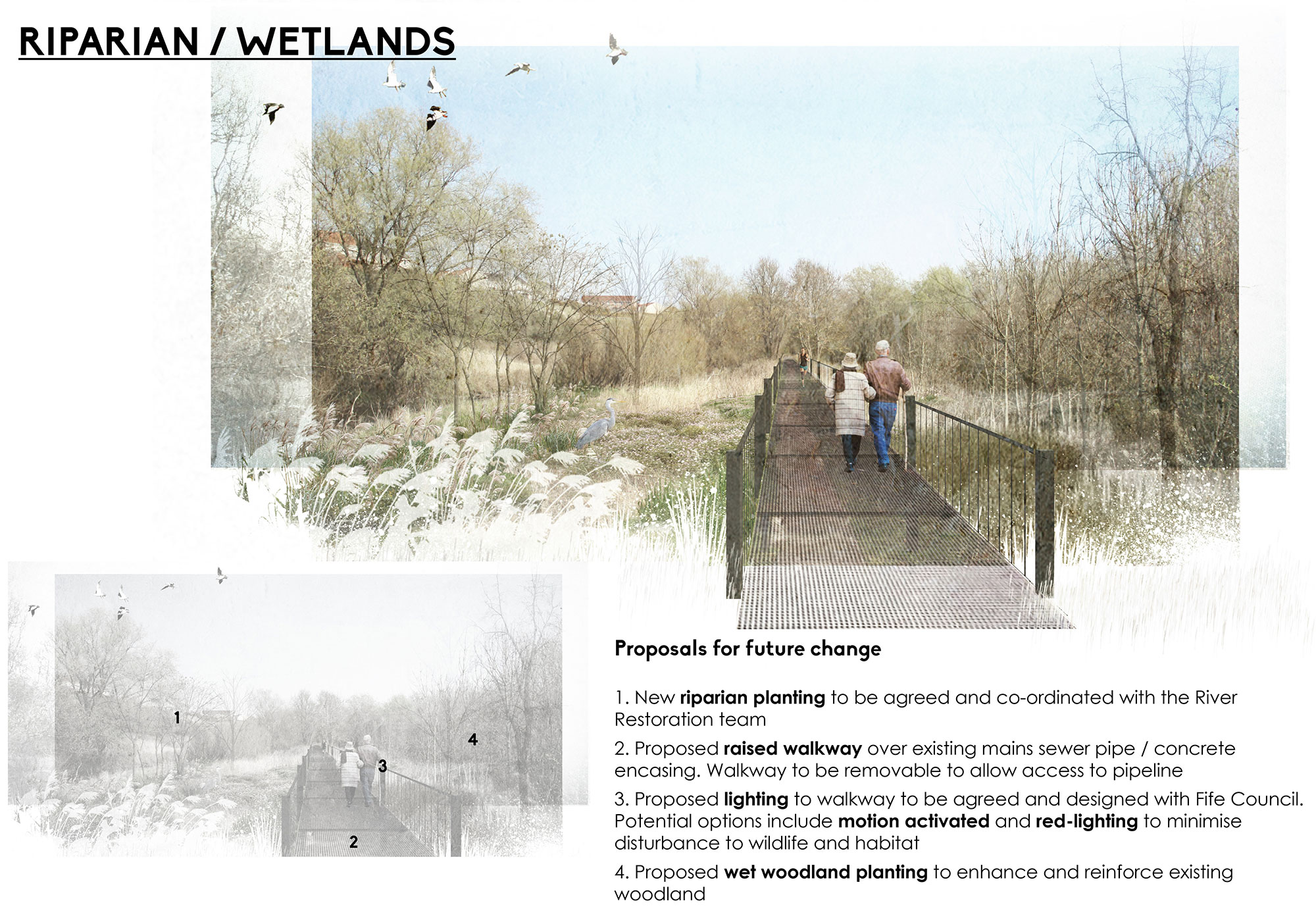 wetland-visual